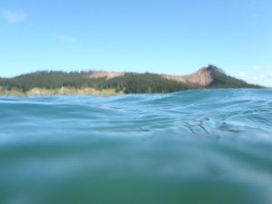The swimmer's view of the estuary!