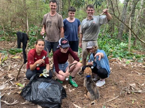 Working bee with Garden Sharks